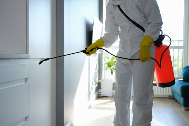 Best Office Mold Removal Services  in Markham, IL