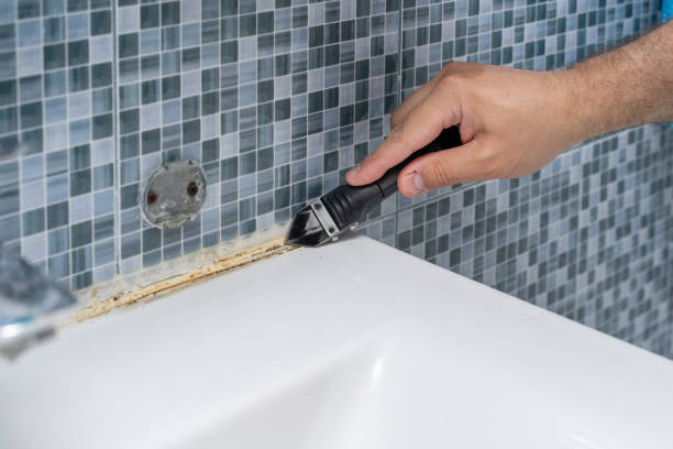 Best Residential Mold Removal  in Markham, IL