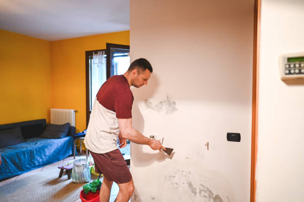  Markham, IL Mold Removal Pros